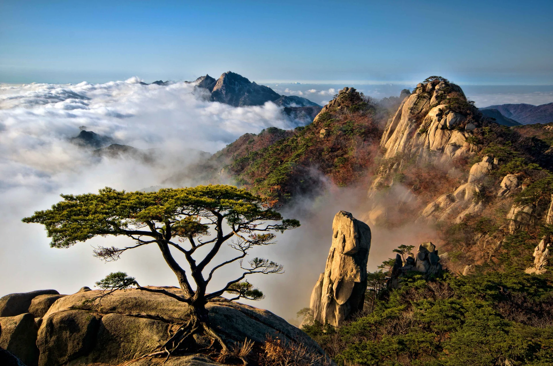 Bukhansan in the distance