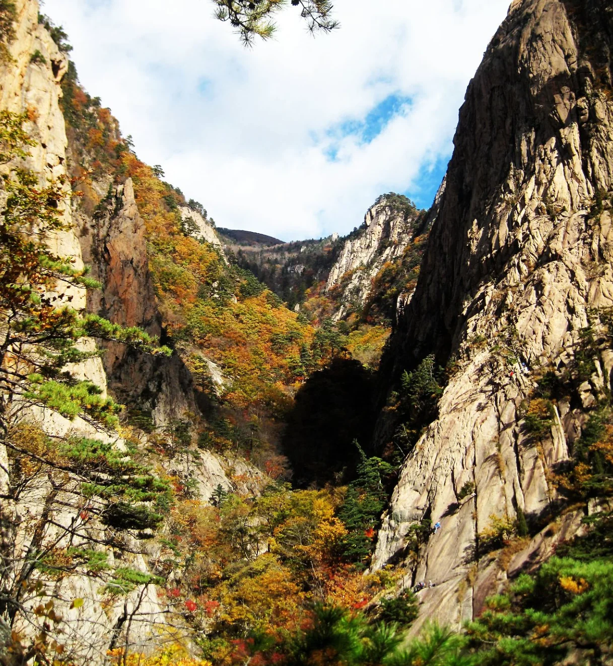 Mongnyudowondo ridge (Soeraksan)